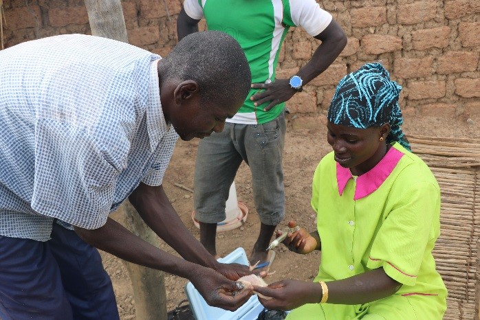 Alizeta Fofana vaccinates chickens in Burkina Faso credit Mediaprod